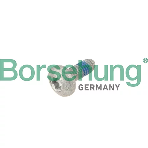 Aretačná skrutka, časovanie rozvodu Borsehung B10646 (Borsehung GERMANY)