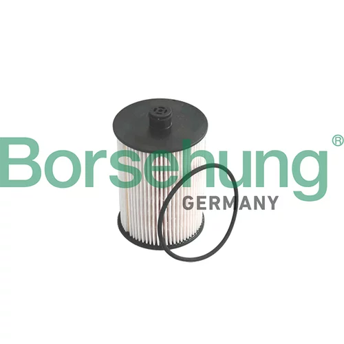 Palivový filter Borsehung B12199 (Borsehung GERMANY)