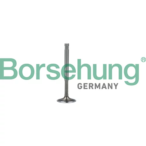 Výfukový ventil Borsehung B19010 (Borsehung GERMANY)