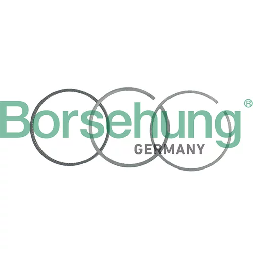 Sada piestnych krúžkov Borsehung B19044 (Borsehung GERMANY)