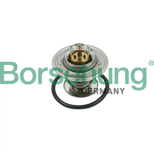 Termostat chladenia Borsehung B13141 (Borsehung GERMANY)