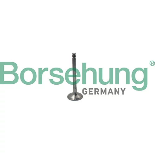 Výfukový ventil Borsehung B19012 (Borsehung GERMANY)