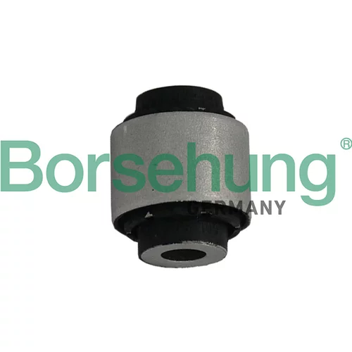 Uloženie riadenia Borsehung B19165 (Borsehung GERMANY)