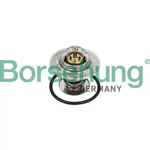 Termostat chladenia Borsehung B18231