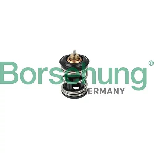 Termostat chladenia Borsehung B18261