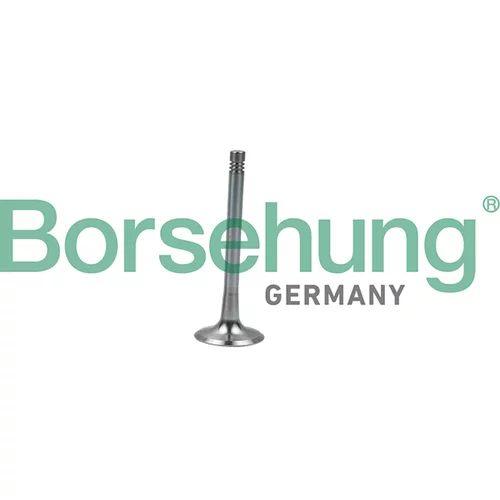 Výfukový ventil Borsehung B19008 (Borsehung GERMANY)