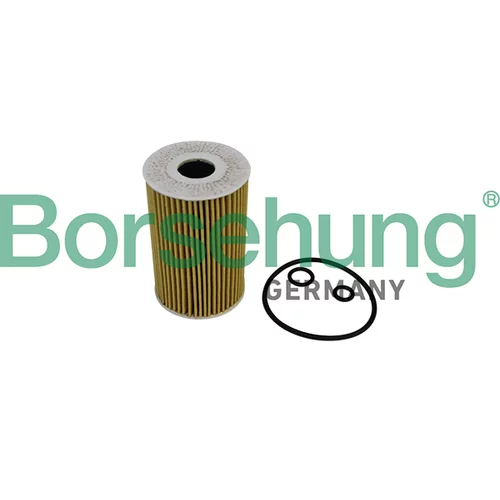 Olejový filter Borsehung B10535