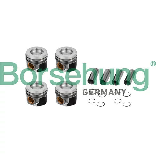 Piest Borsehung B11132