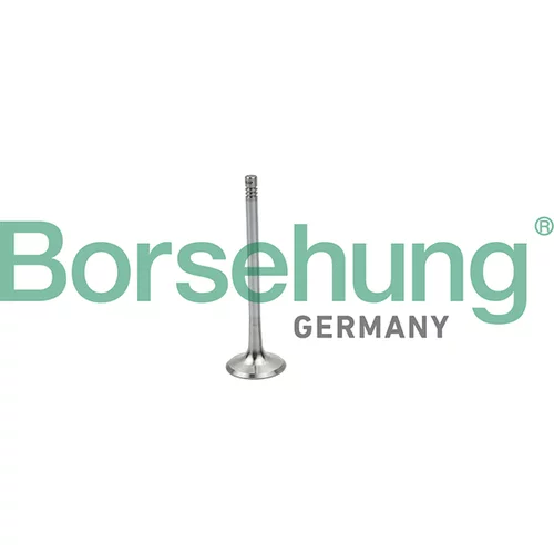 Nasávací ventil Borsehung B19025 (Borsehung GERMANY)