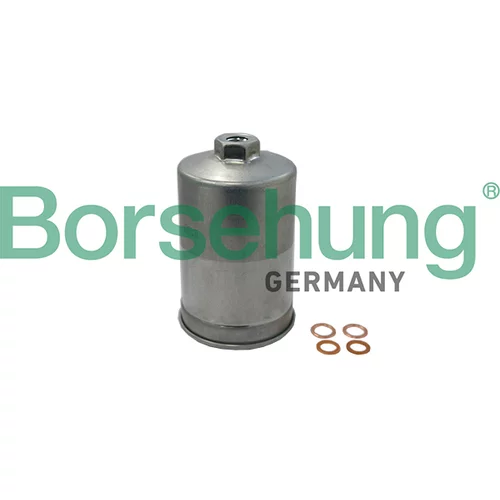 Palivový filter Borsehung B19091 (Borsehung GERMANY)