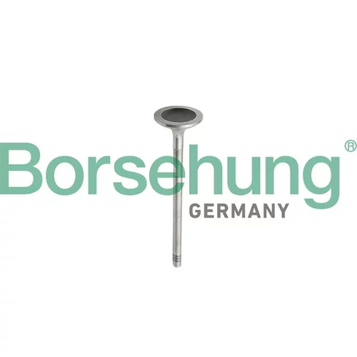 Sada piestnych krúžkov Borsehung B10343 (Borsehung GERMANY)