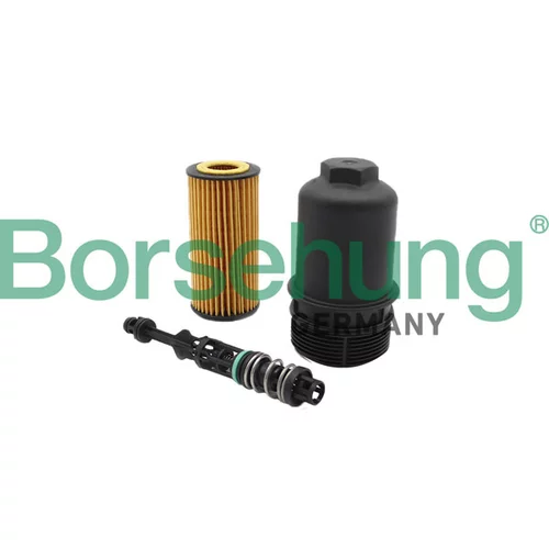 Olejový filter Borsehung B10435