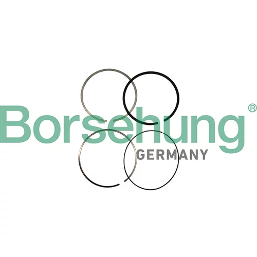 Sada piestnych krúžkov Borsehung B10361 (Borsehung GERMANY)