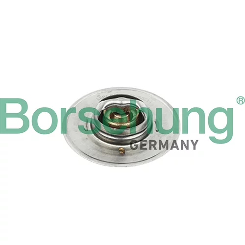 Termostat chladenia Borsehung B18247