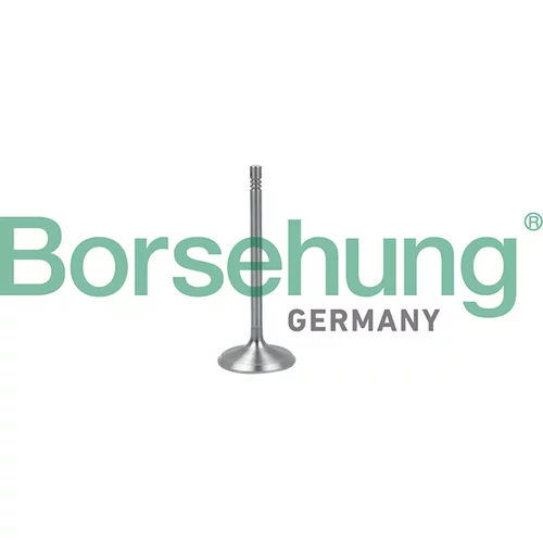 Nasávací ventil Borsehung B19017 (Borsehung GERMANY)