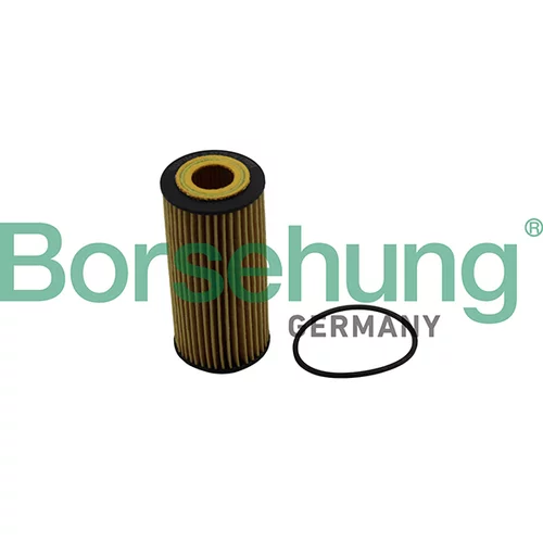 Olejový filter Borsehung B10511 (Borsehung GERMANY)