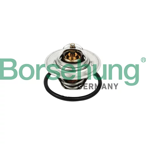 Termostat chladenia Borsehung B13140