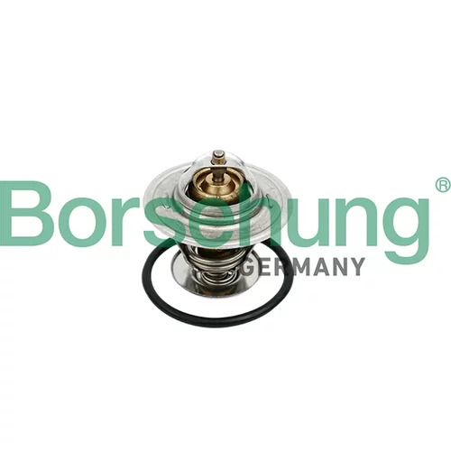 Termostat chladenia Borsehung B18259 (Borsehung GERMANY)