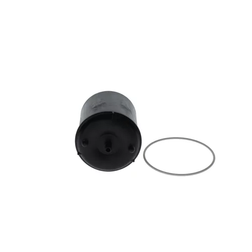 Olejový filter BOSCH F 026 407 119