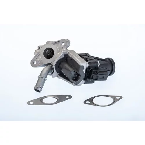 EGR ventil BTS Turbo A100070BL