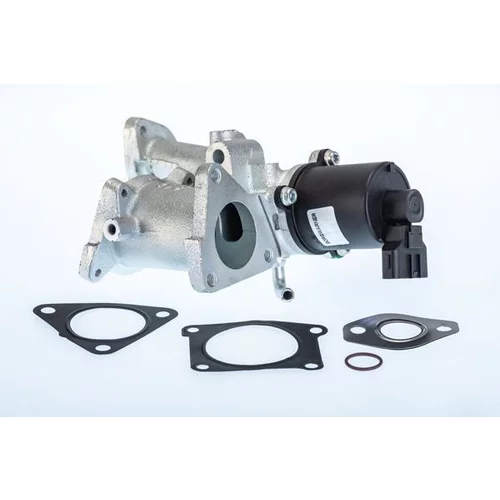 EGR ventil BTS Turbo A100061BL