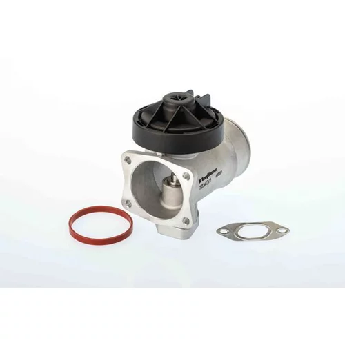 EGR ventil BTS Turbo A100084