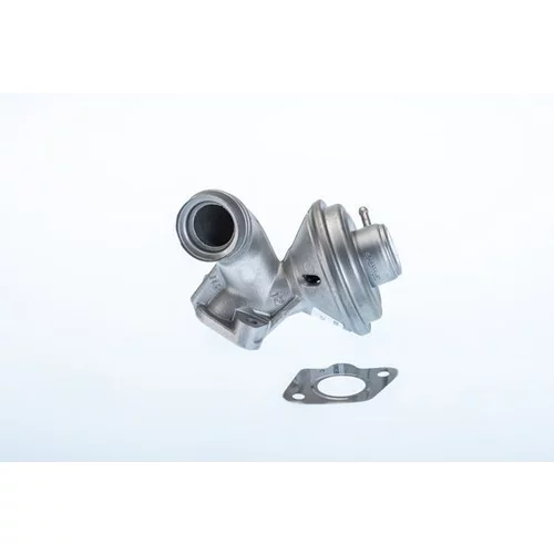 EGR ventil BTS Turbo A100077BL