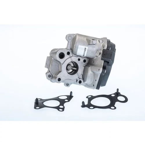 EGR ventil BTS Turbo A100062BL