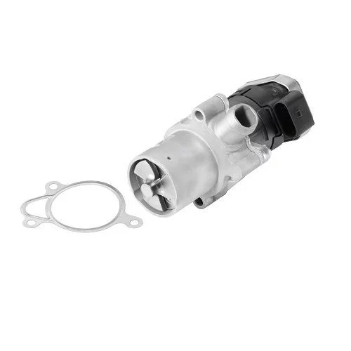 EGR ventil BTS Turbo A100039BL