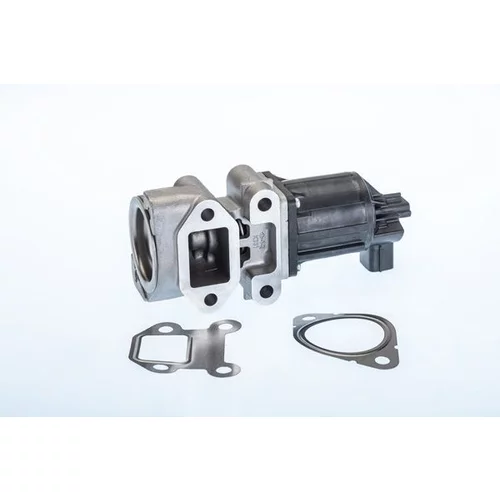 EGR ventil BTS Turbo A100074BL