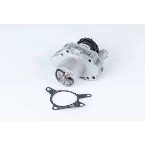 EGR ventil BTS Turbo A100075BL