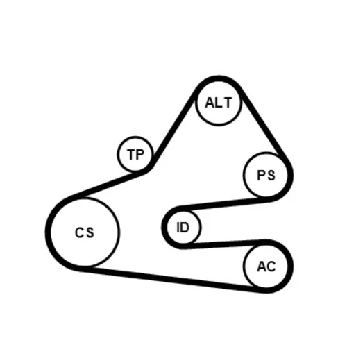 Ozubený klinový remeň - Sada CONTINENTAL - CONTITECH 6PK1613K1