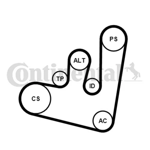 Ozubený klinový remeň - Sada CONTINENTAL - CONTITECH 6PK1660K2