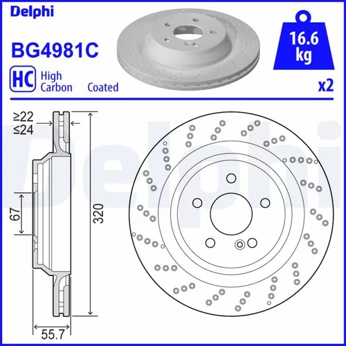 Brzdový kotúč DELPHI BG4981C