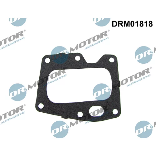 Tesnenie, EGR ventil Dr.Motor Automotive DRM01818