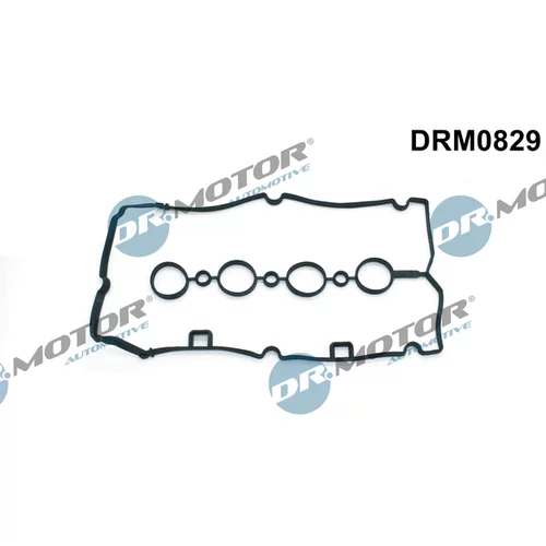 Tesnenie veka hlavy valcov Dr.Motor Automotive DRM0829