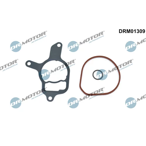 Sada tesnení, podtlaková pumpa Dr.Motor Automotive DRM01309