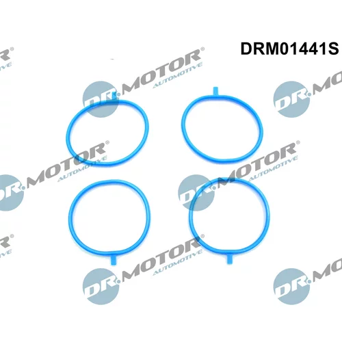 Sada tesnení kolena nasávacieho potrubia Dr.Motor Automotive DRM01441S