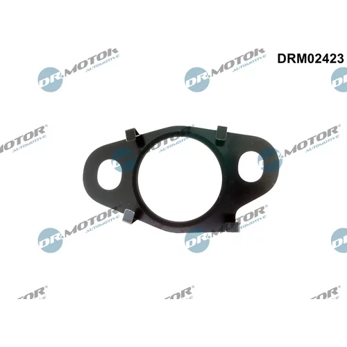 Tesnenie, Vedenie EGR ventilu Dr.Motor Automotive DRM02423