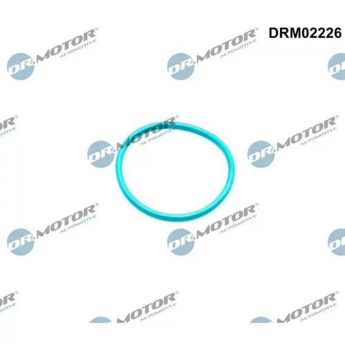 Tesnenie, EGR ventil Dr.Motor Automotive DRM02226