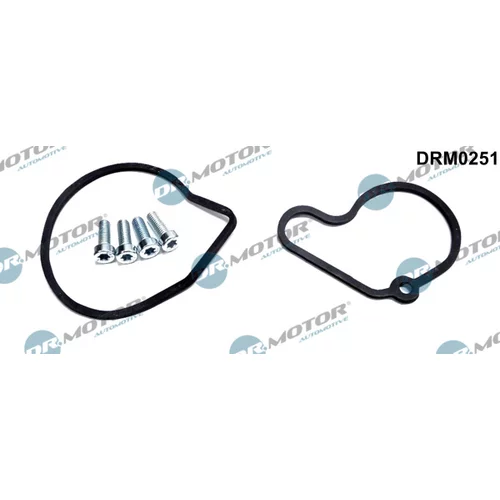 Opravná sada podtlakového čerpadla (brzdy) Dr.Motor Automotive DRM0251