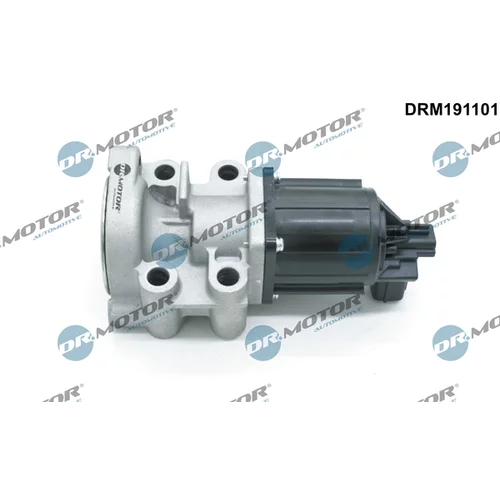 EGR ventil Dr.Motor Automotive DRM191101