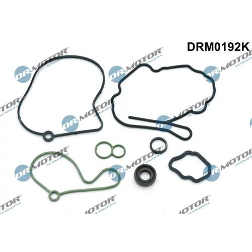 Sada tesnení, podtlaková pumpa Dr.Motor Automotive DRM0192K