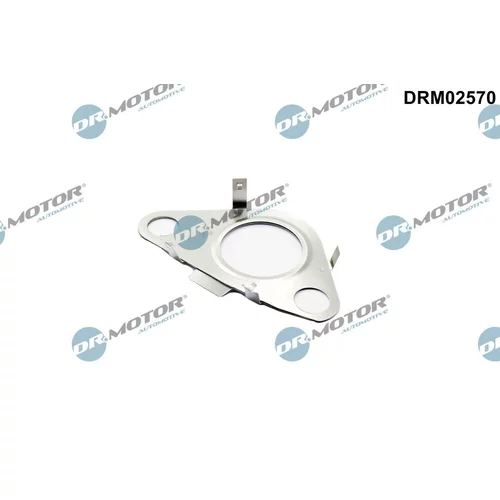 Tesnenie, Vedenie EGR ventilu Dr.Motor Automotive DRM02570