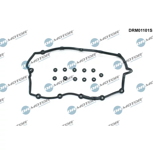 Sada tesnení veka hlavy valcov Dr.Motor Automotive DRM01101S