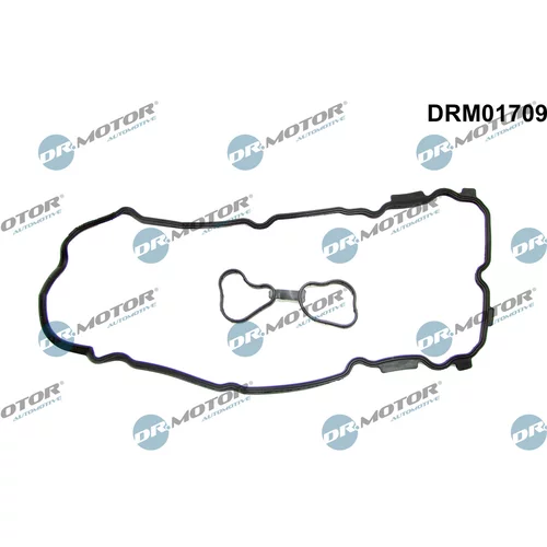 Tesnenie veka hlavy valcov Dr.Motor Automotive DRM01709