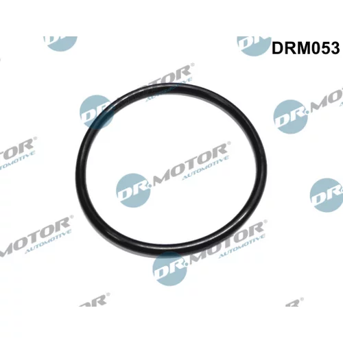 Tesnenie, palivový filter Dr.Motor Automotive DRM053