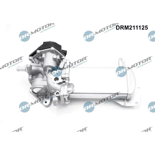 EGR ventil Dr.Motor Automotive DRM211125 - obr. 1