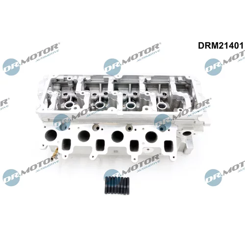 Hlava valcov motora Dr.Motor Automotive DRM21401