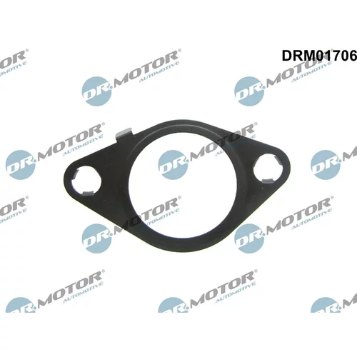 Tesnenie, EGR ventil Dr.Motor Automotive DRM01706